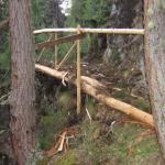 Manutenzione Sentieri